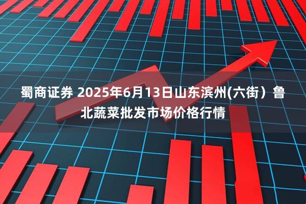 蜀商证券 2025年6月13日山东滨州(六街）鲁北蔬菜批发市场价格行情