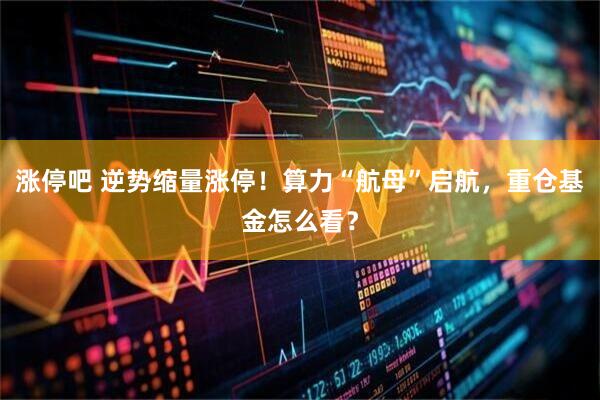 涨停吧 逆势缩量涨停！算力“航母”启航，重仓基金怎么看？
