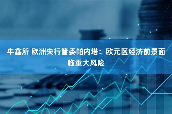 牛鑫所 欧洲央行管委帕内塔：欧元区经济前景面临重大风险