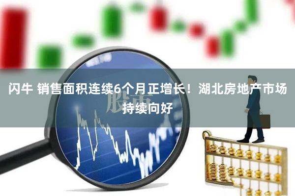 闪牛 销售面积连续6个月正增长！湖北房地产市场持续向好