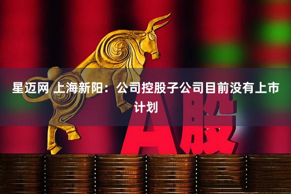 星迈网 上海新阳：公司控股子公司目前没有上市计划