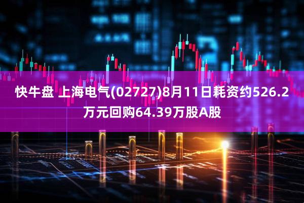快牛盘 上海电气(02727)8月11日耗资约526.2万元回购64.39万股A股