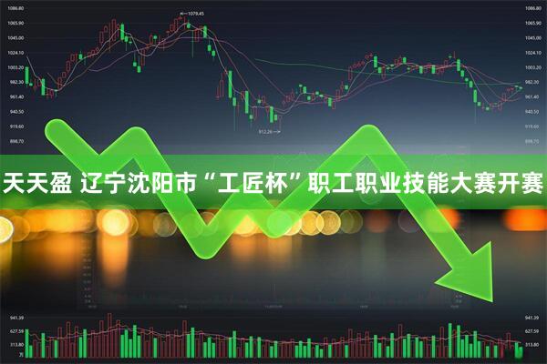 天天盈 辽宁沈阳市“工匠杯”职工职业技能大赛开赛